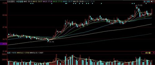中国软件板块走强，中孚信息涨停引领计算机软件行业发展