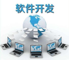 房子 vs 车子 哪个才是真正的投资？以计算机软件销售为例